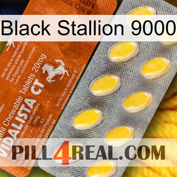 Black Stallion 9000 42.jpg